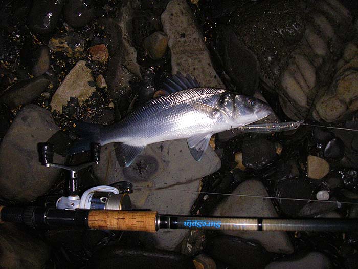 This one was a bit better and put up a good show on the spinning gear.