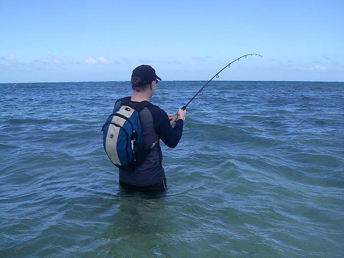 This is more like it. Another bonefish puts Richard's old 4Surespin and Stradic through their paces.