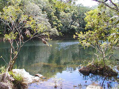 Home to many species of lure taking fish these clear rivers are best fished at dusk or dawn.