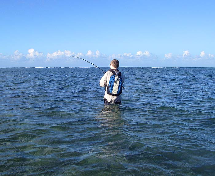 Note the shallow angle of the line - by now the fish was 'miles' away and still going.