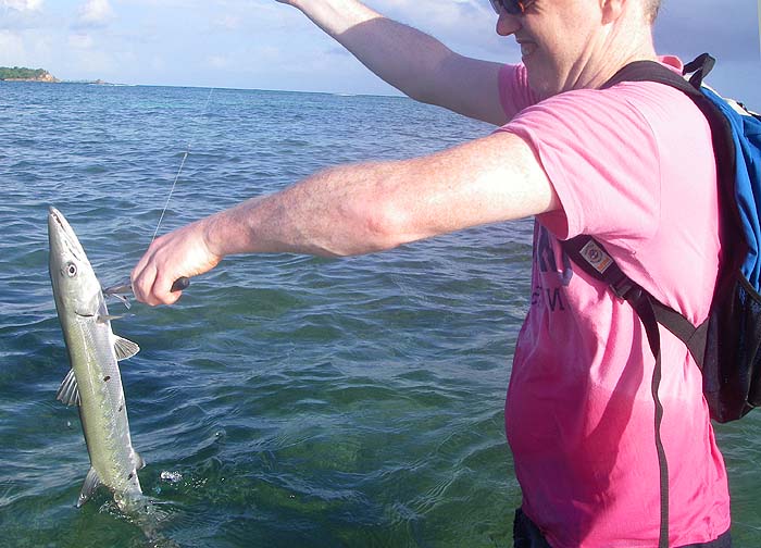 If the fish is small enough you can hold it up on the trace while removing the hooks. He's already removed one treble from the jaw.