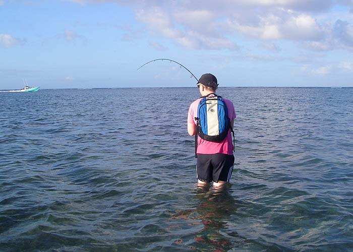 Yet again the rod bends to a good bonefish. The occasional fishing boat didn't seem to deter the fish.