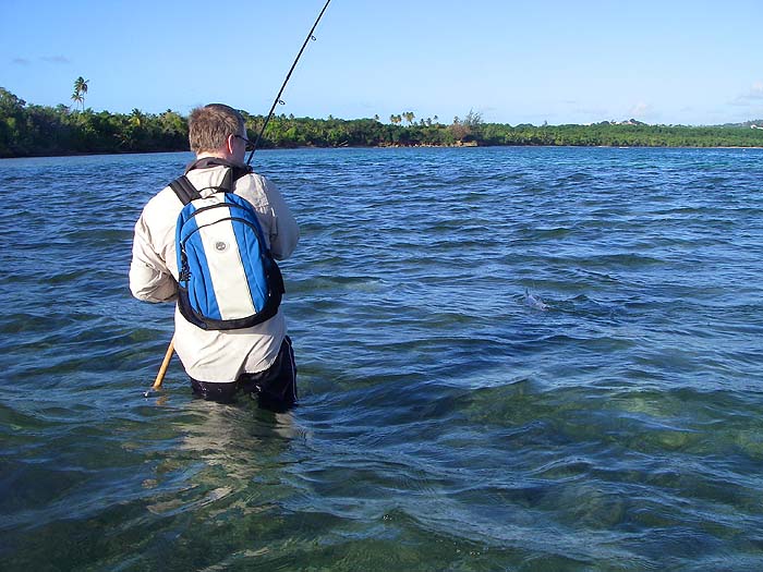 At last a bonefish is tired and ready to be unhooked.
