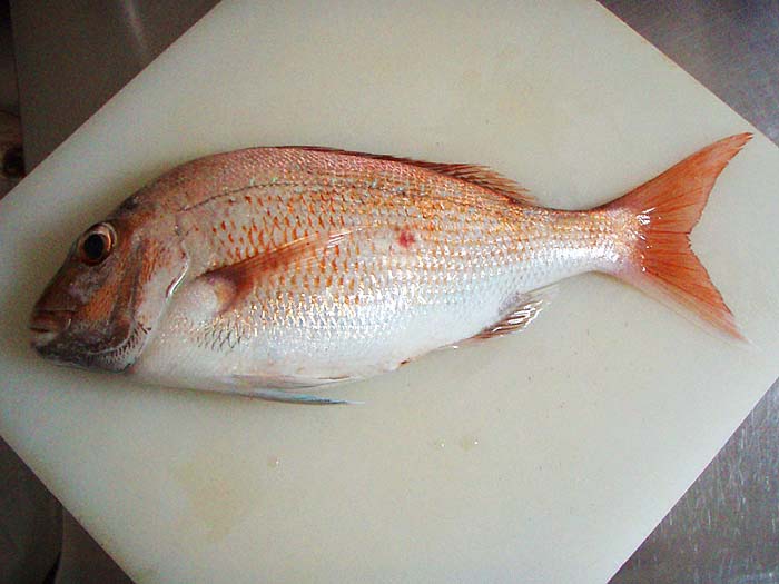 Apparently the 'five-o'clock-shadow' is characteristic.