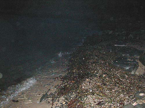 Still gloomy but a bit too late to start really.