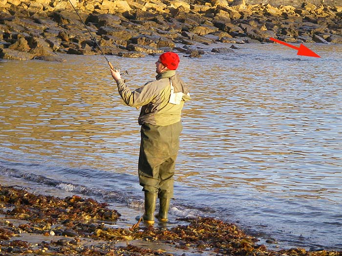 The red arrow shows where we had the bites and saw the striking schoolies.