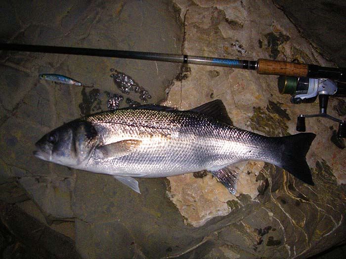 My bass - just under five pounds. Not a bad start.