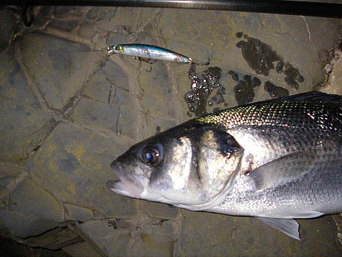 The small lure, so it seemed, was just the job on this occasion.