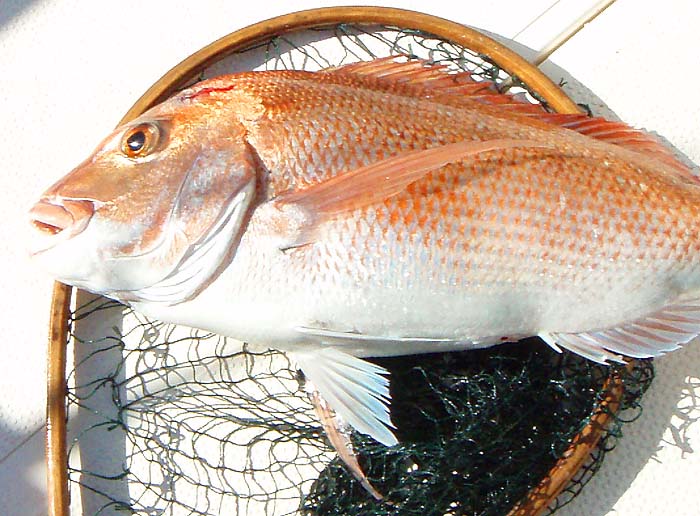 I'd have been well pleased with this one.