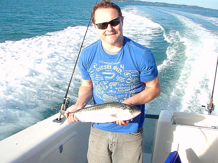 These are beautiful fish aren't they?