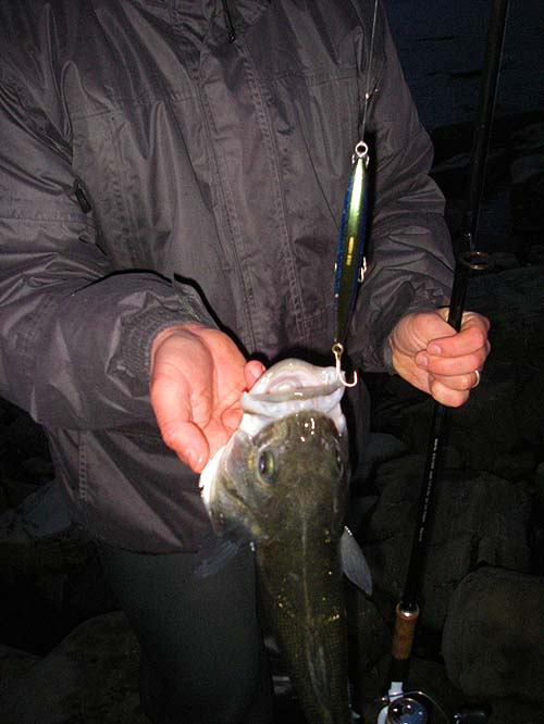 Phil's fish took a decent sized plug.