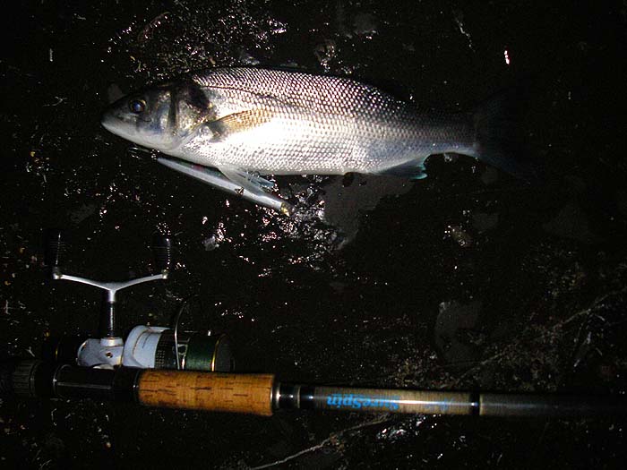 No monster but in mint condition.