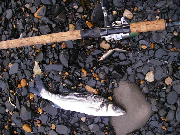 It was actually satisfying to land something on an evening when it was 'slow' to say the least.