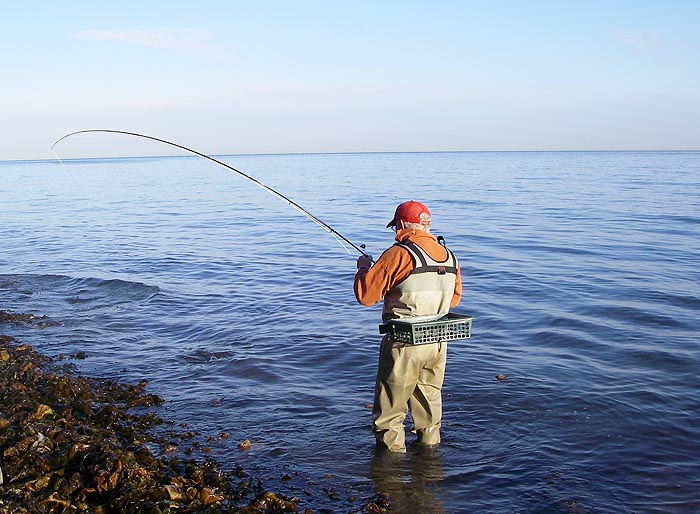 The fish looks beaten but it made a couple more runs after this.