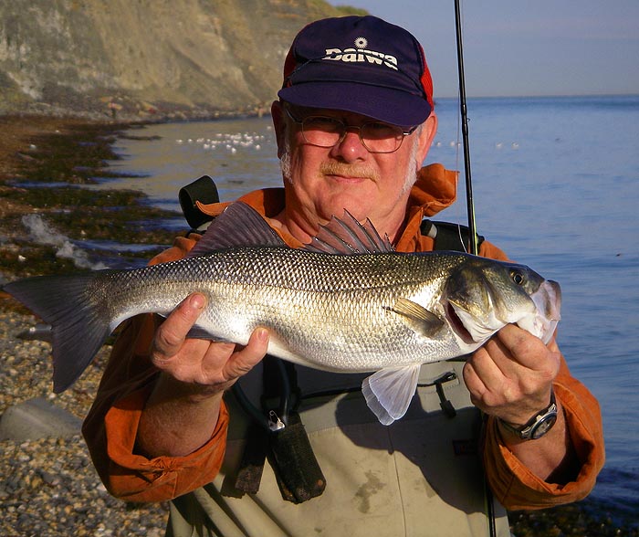 A fine fat bass landed on Nigel's fly gear from the shore. Note the maggot-feeding gulls behind him.