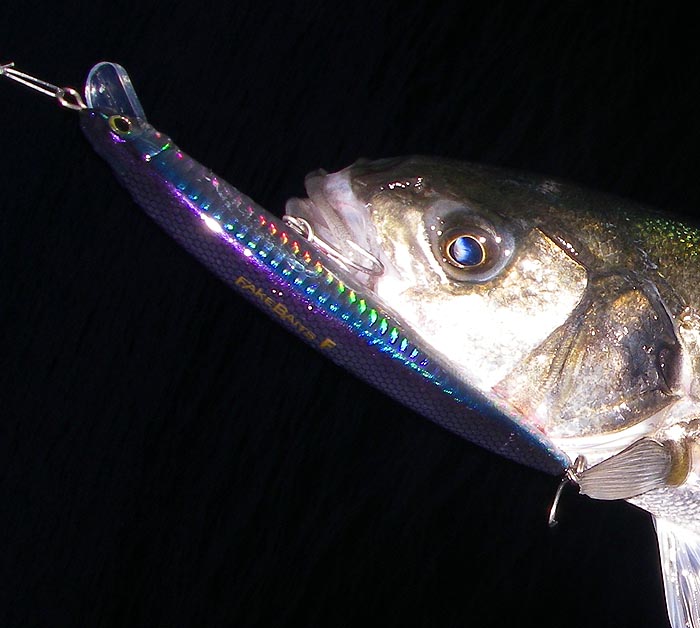 Modern lures are so beautifully finished (until I've hammered them on the rocks a few times anyway).