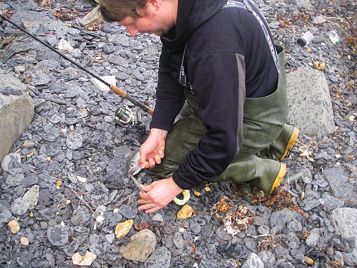 This one took a plug. Little ones kick a lot and can be the worst to unhook.