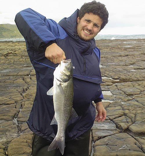 That's more like it.