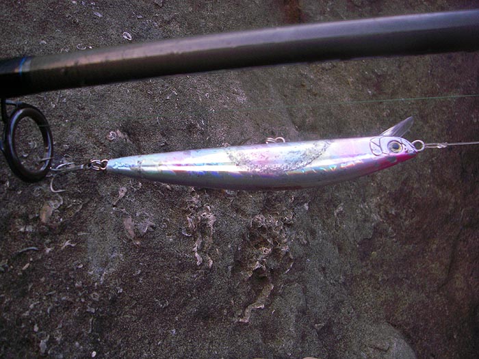 It didn't produce me a bass but at least I caught a livebait.