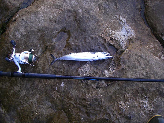 All ready for a long swim.