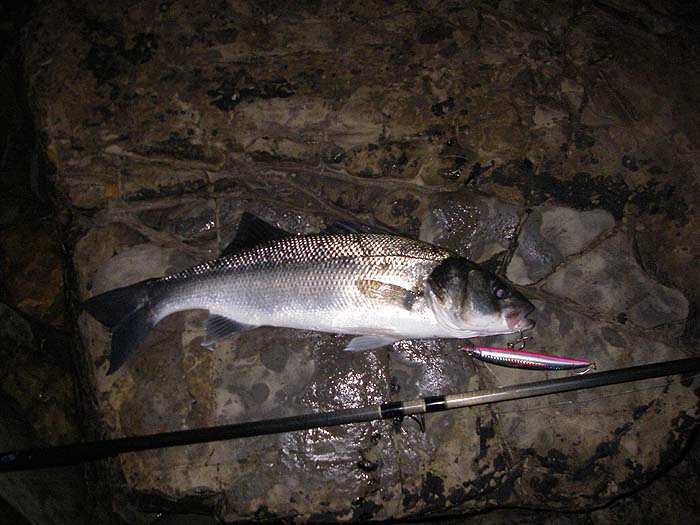 After getting this picture I concentrated on the fishing.