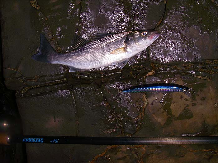 My last bass of the first session.