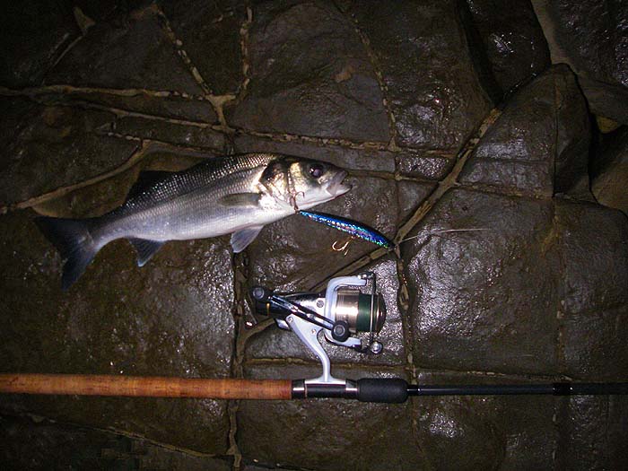 I had this bass, on a plug, in the dark this week. I couldn't even see it when I was taking the picture so I just pointed and hoped.