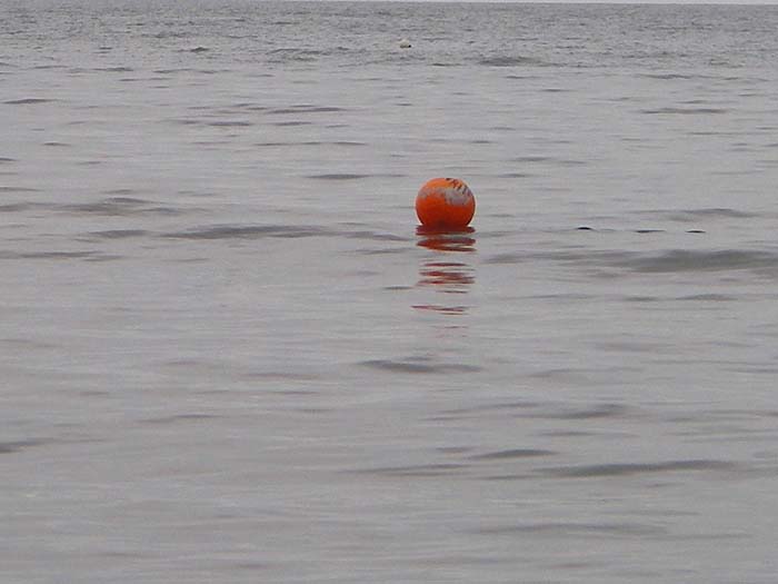 There was barely room for a bass to get to my lure for the curtain of netting..