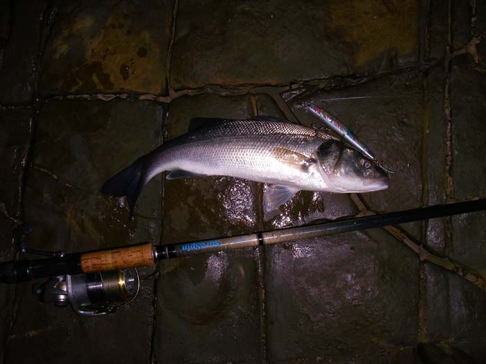 Despite the net I managed to land a fish or two.