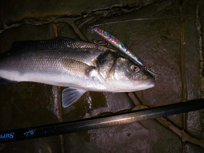 I thought this was quite a nice picture.