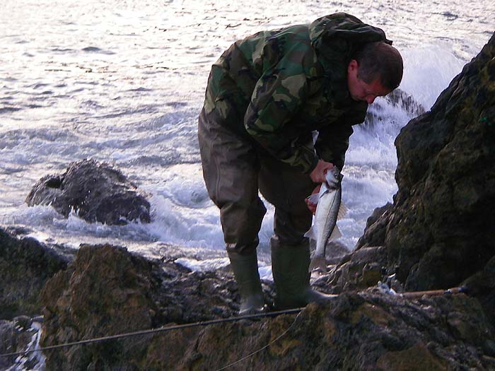 Dave's fish was similar to my first one.