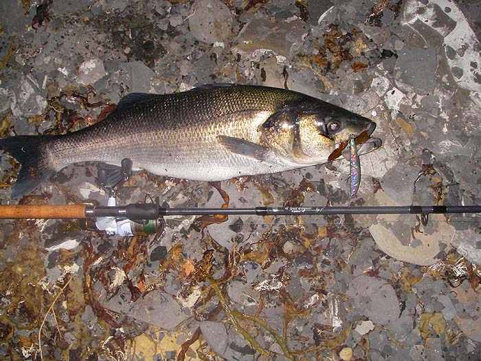 Six kg. What a great fish. Even though it took in the shallows and very close in the water was too gloomy for me to see it until ten minutes later.