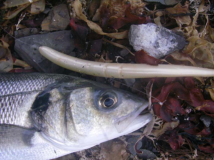 The hook pulled through the plastic and the lure slid up the line during the fight.