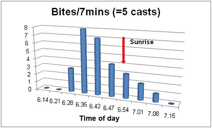 I fished either side of sunrise with a hookless wedge - convincing? I think so.