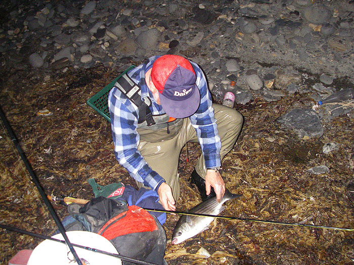 This big mullet was our last of the evening session.