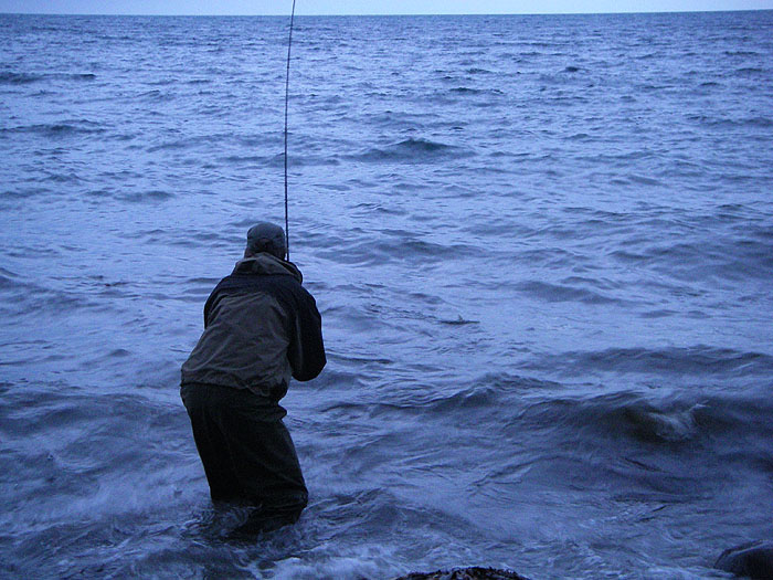 'The fish is showing a pectoral fin and looks as though it's about to surrender. Then it came off.