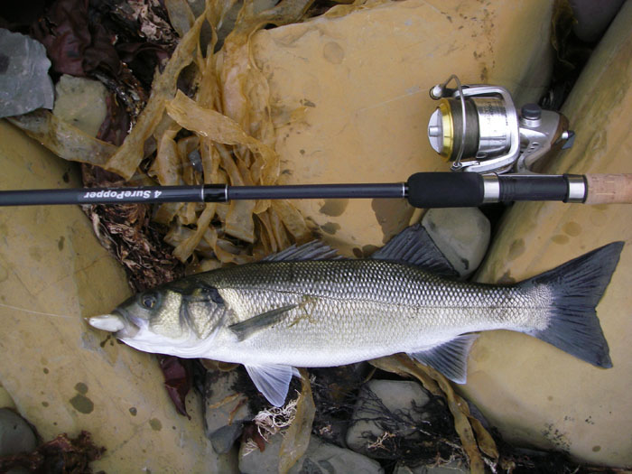 'A last gasp fish if ever there was one.