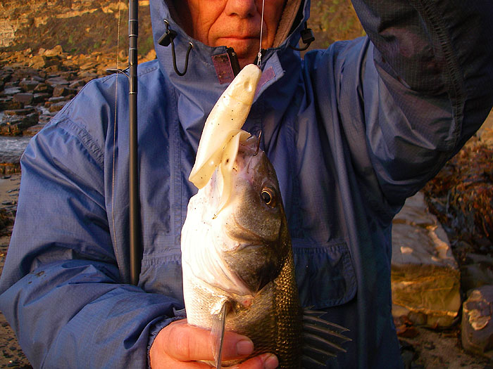 Not a bad fish and it clearly took the creeping, wriggling lure well.