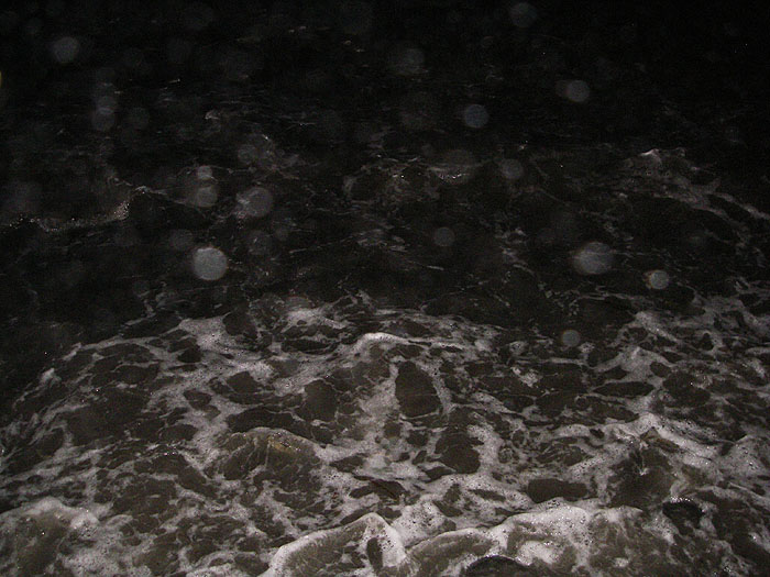 The mullet were right in the surf. I tried to get a picture in the dark but it wasn't really possible. There are probably twenty feeding fish in the picture but it's hard to see even one.