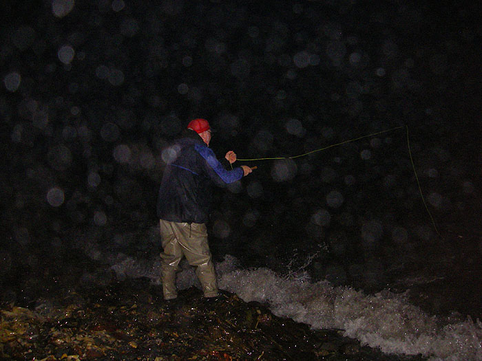 Note the metre or so of fly line dangling straight down from the rod - that shows how close the fish are.
