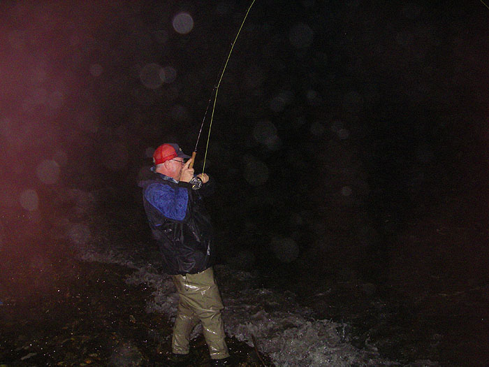 A good mullet 'takes to the hills'. The sea was a lot rougher than it looks.