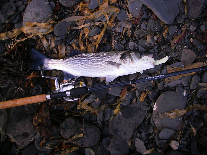 I only landed two others and like this one they were in mint condition.