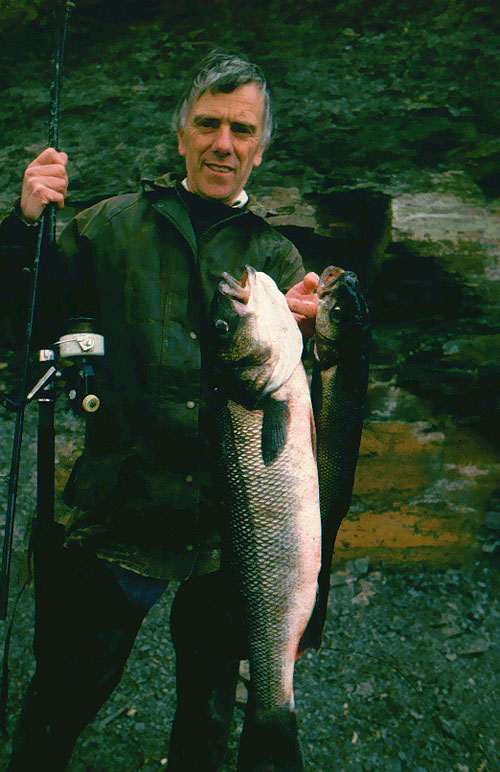 This was in the days when I used to keep a few fish. Note the old Cardinal reel - more than a match for these bass.