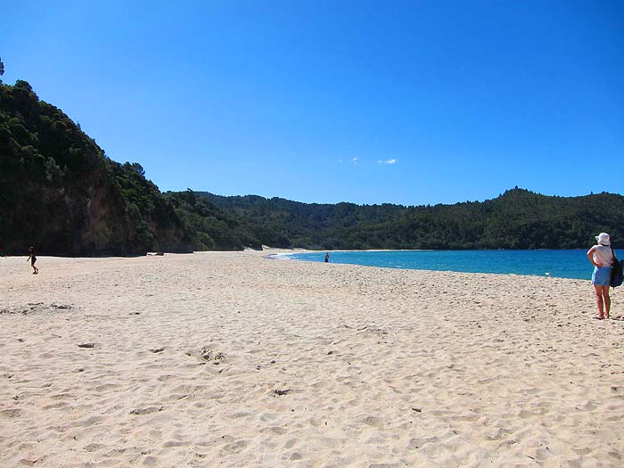 A lovely stretch of sand but looks fairly well trodden - must ask Alan.