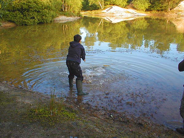 My pal Joe returned this good carp (caught off the top) and got splattered with muddy water for his efforts.