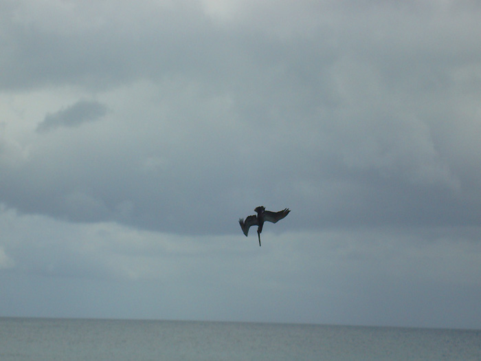 When they plummet in like this it raises our hopes.