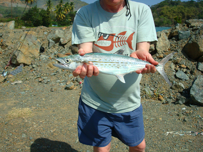 My first ever of this species. It fought like a train.