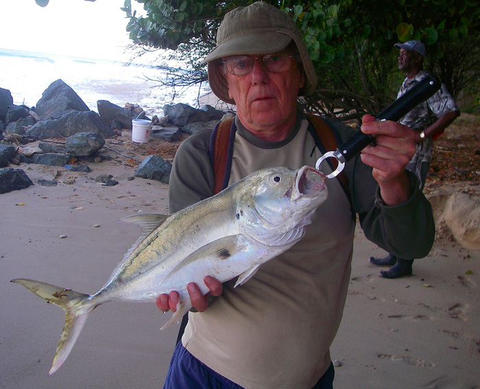 These hard fighting fish are one of our favourites but they were hard to come by.