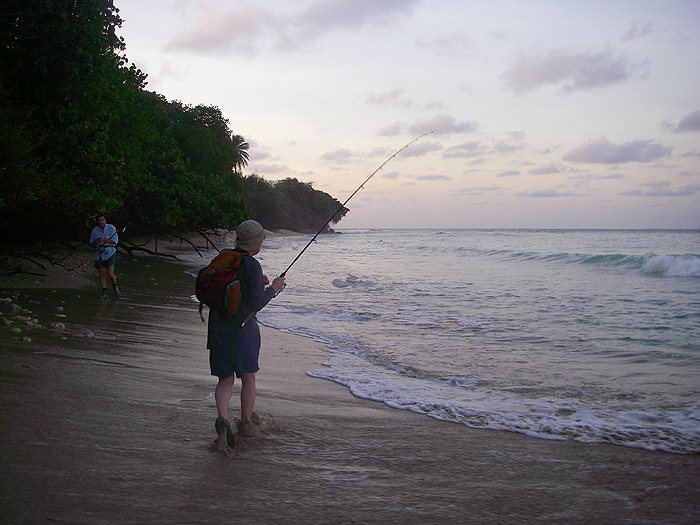 Now it was my turn to hook a snook, this time on a soft plastic lure.