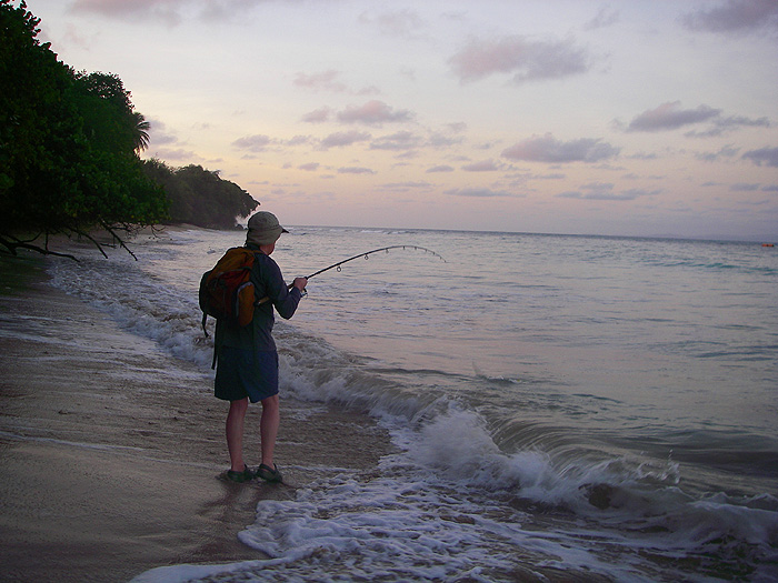 Although they're not quite bonefish or jacks these fish still go like trains.